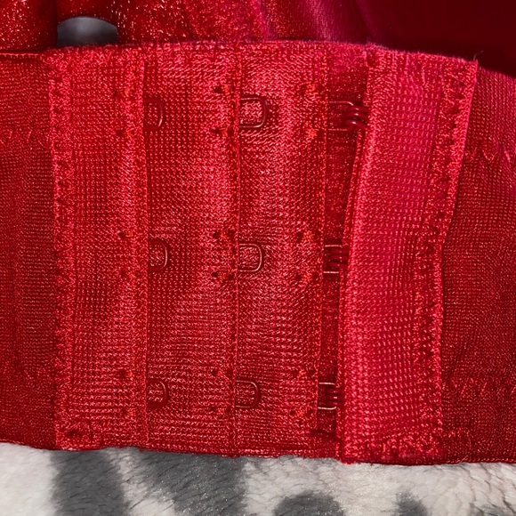 Pure Beauty by Rene Rofe • Red • Bra - Picture 3 of 7